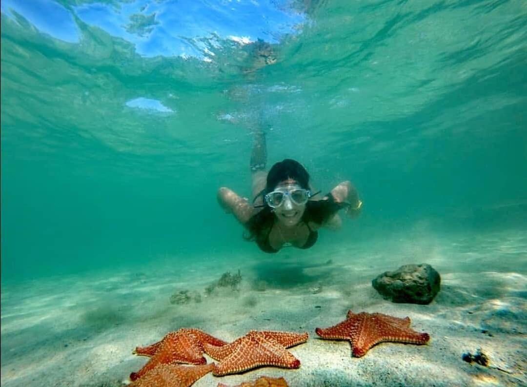 Casa Elba Sobre El Mar Βίλα Μπόκας ντελ Τόρο Εξωτερικό φωτογραφία